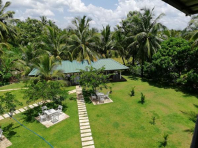 Гостиница Rajarata Lodge  Anuradhapura